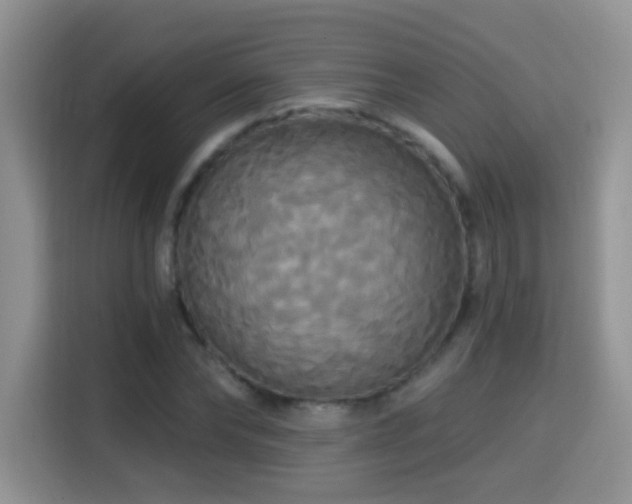 X0000115320878200911091155