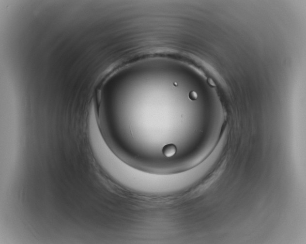 X0000115320881200911091155