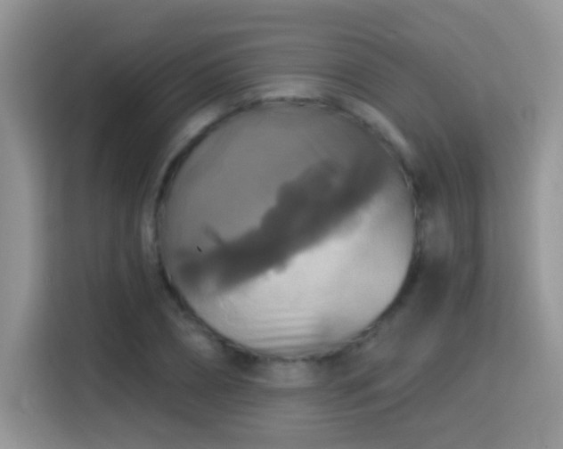 X0000115320882200911091155