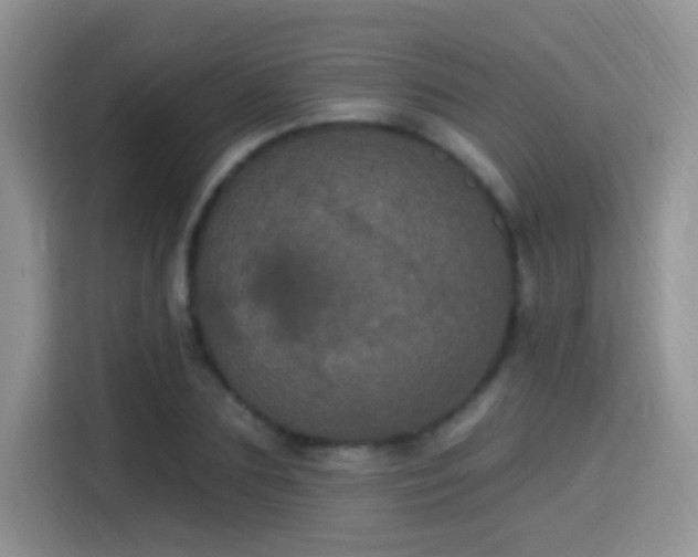 X0000115320883200911091155
