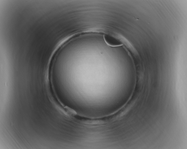 X0000115320884200911091155