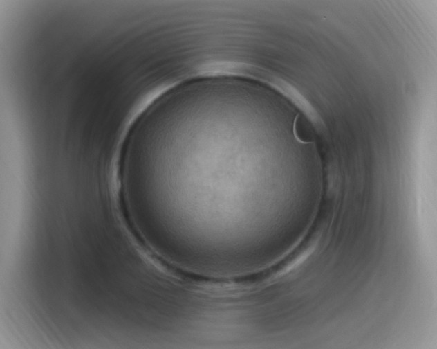 X0000115320885200911091155