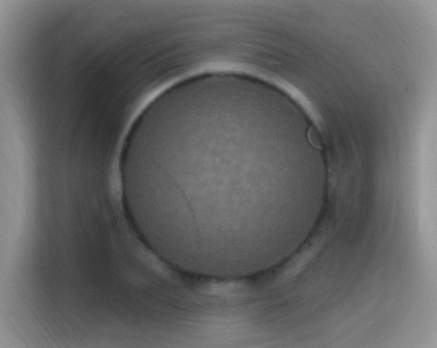 X0000115320887200911091155