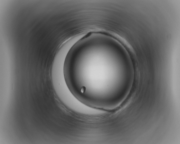 X0000115320889200911091154