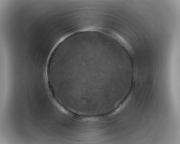 X0000115320892200911091154