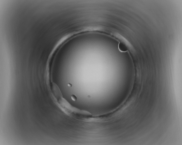 X0000115320894200911091154