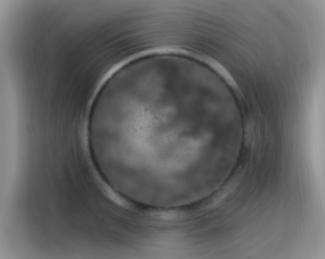 X0000115320895200911091154