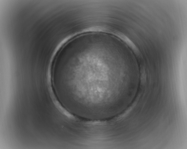 X0000115320896200911091154