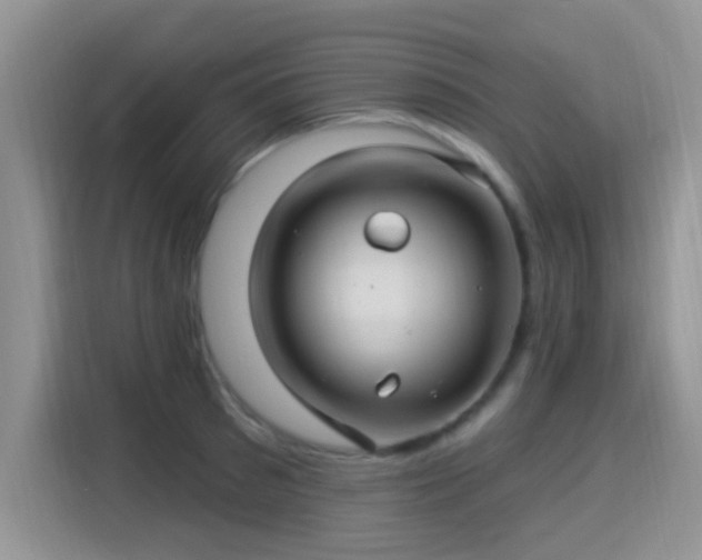 X0000115320897200911091154