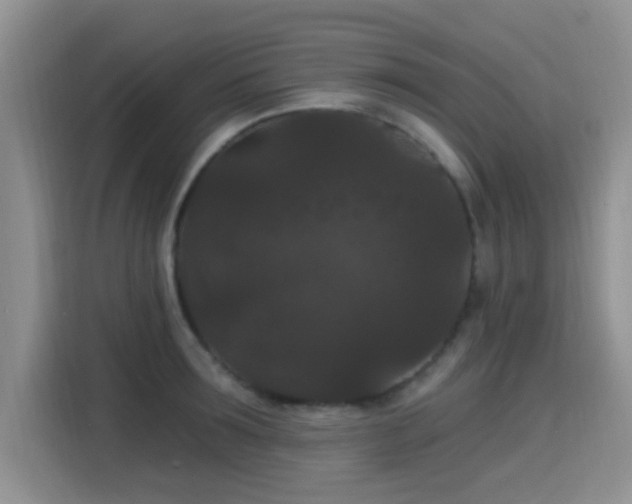 X0000115320899200911091154