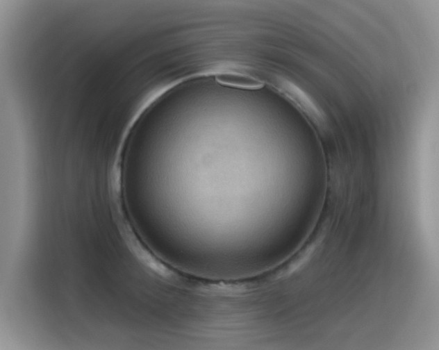 X0000115320900200911091154