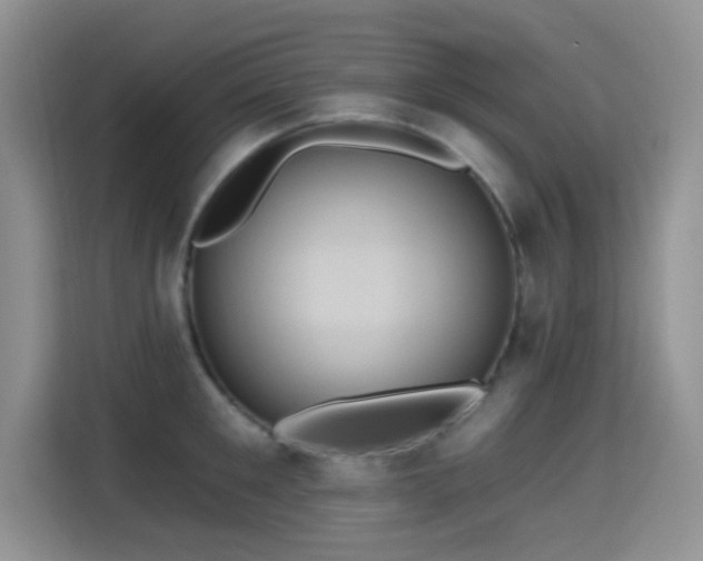X0000115320901200911091154