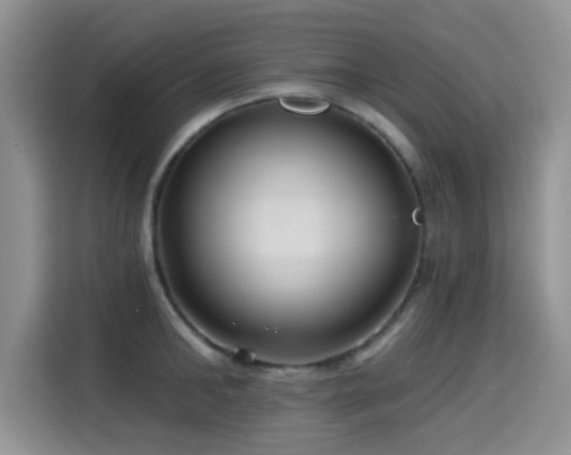 X0000115320902200911091154