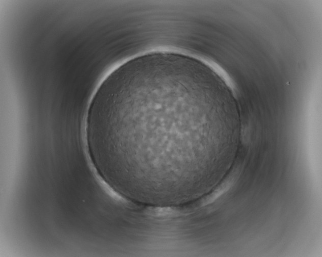 X0000115320903200911091154