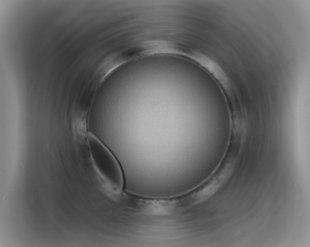 X0000115320905200911091154