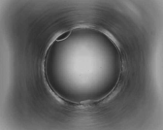 X0000115320906200911091154
