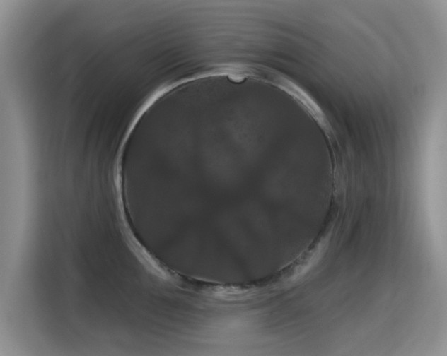X0000115320907200911091154