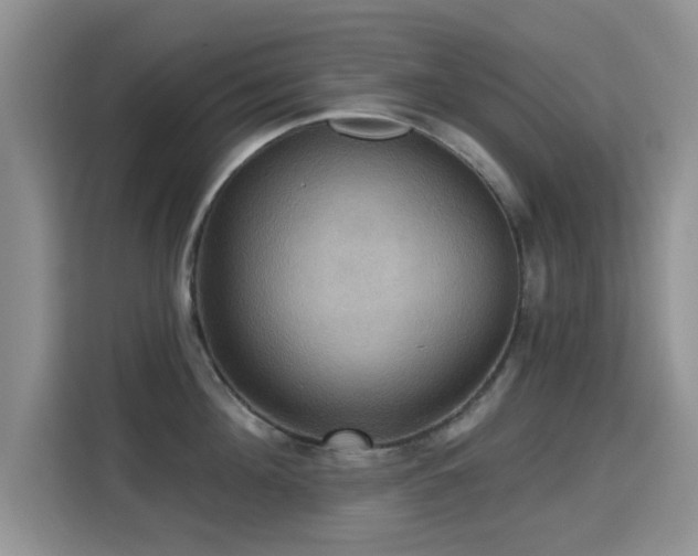X0000115320908200911091154