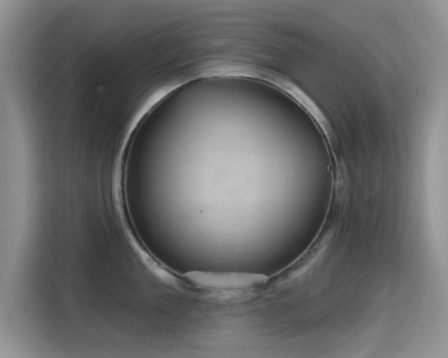 X0000115320909200911091154