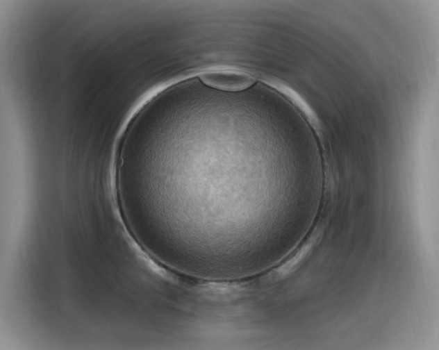 X0000115320910200911091154