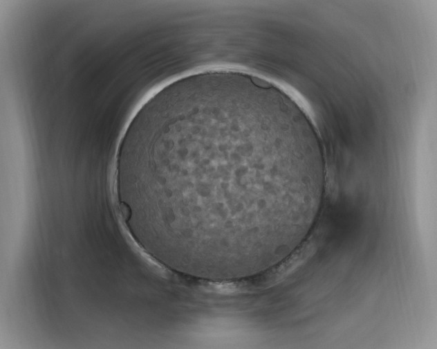 X0000115320911200911091154
