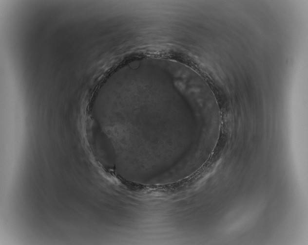 X0000115320913200911091154