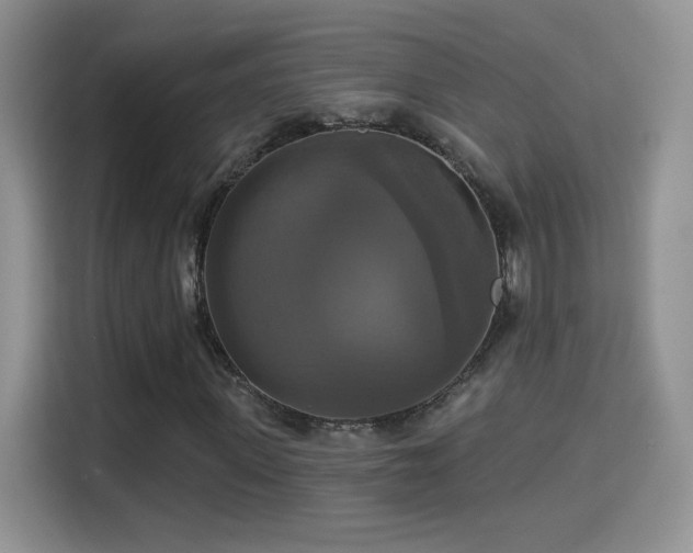 X0000115320915200911091154