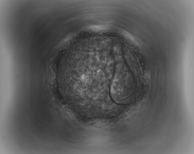 X0000115320917200911091154
