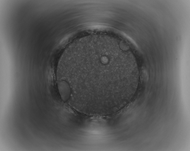 X0000115320918200911091154