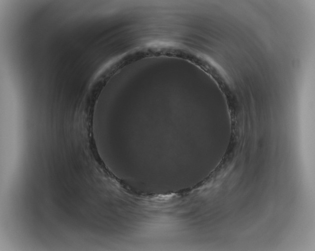 X0000115320919200911091154