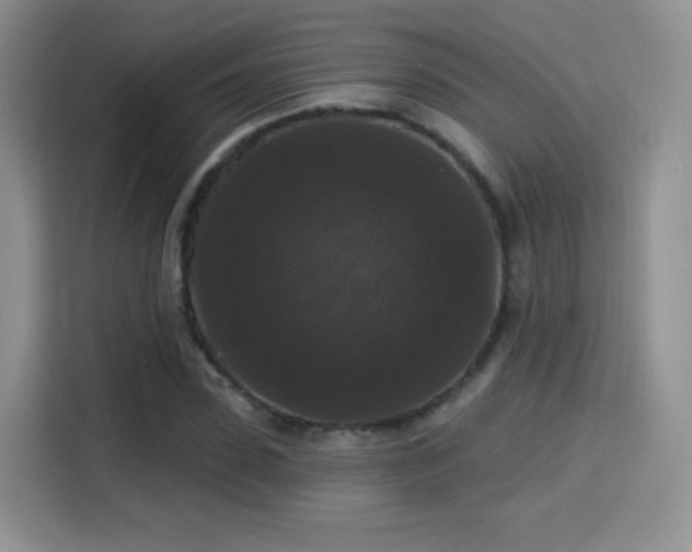 X0000115320923200911091154