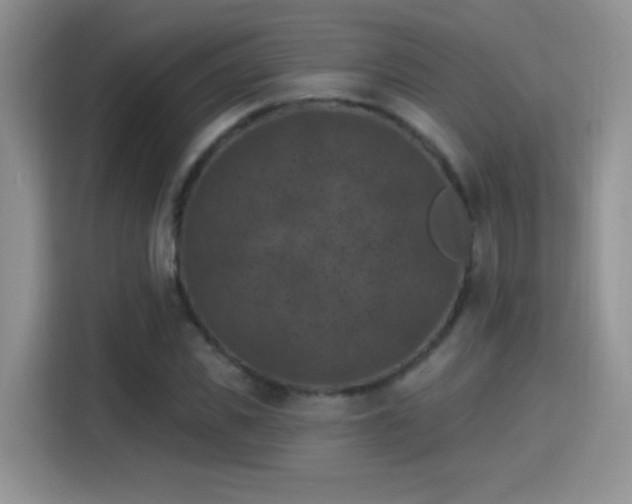 X0000115320925200911091154