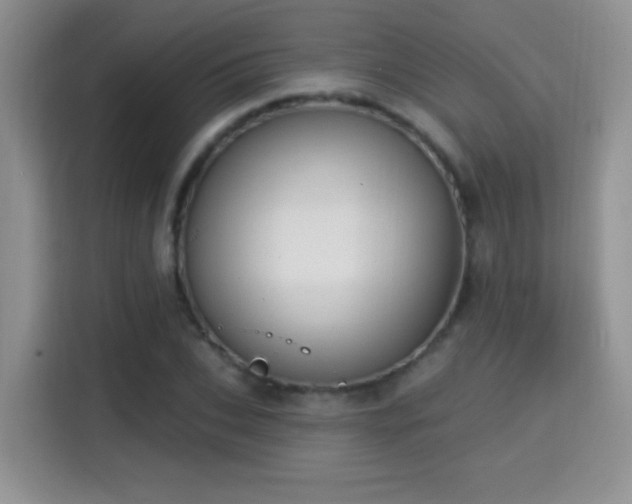 X0000115320927200911091154