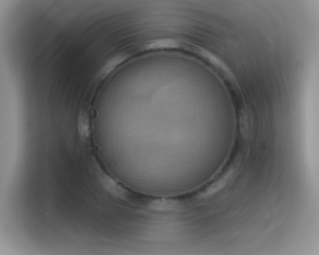 X0000115320929200911091154