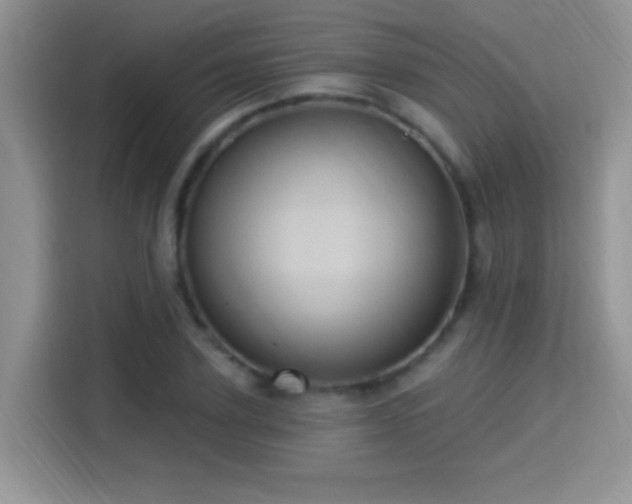 X0000115320931200911091154