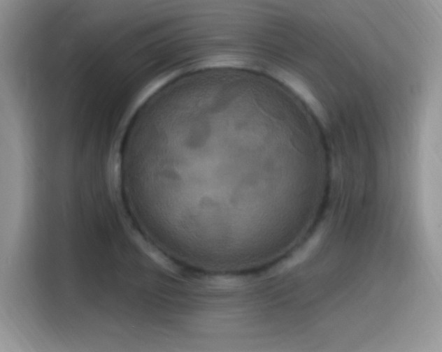 X0000115320933200911091154