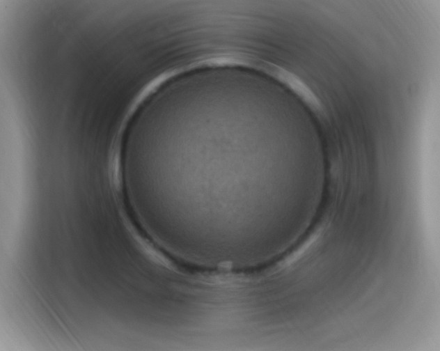 X0000115320934200911091154