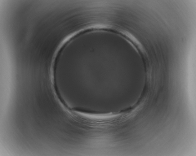 X0000115320935200911091154