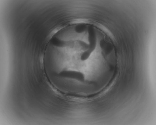 X0000115320937200911091154