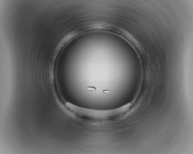 X0000115320938200911091154