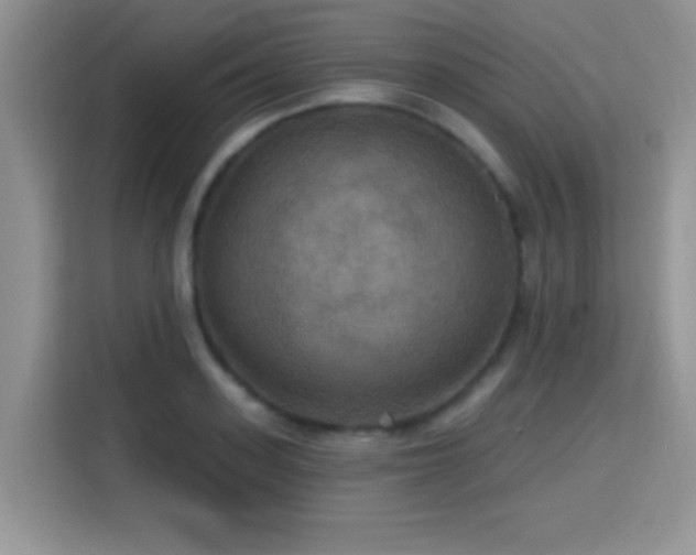 X0000115320939200911091154