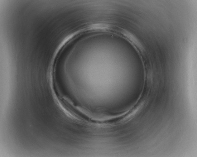 X0000115320941200911091154