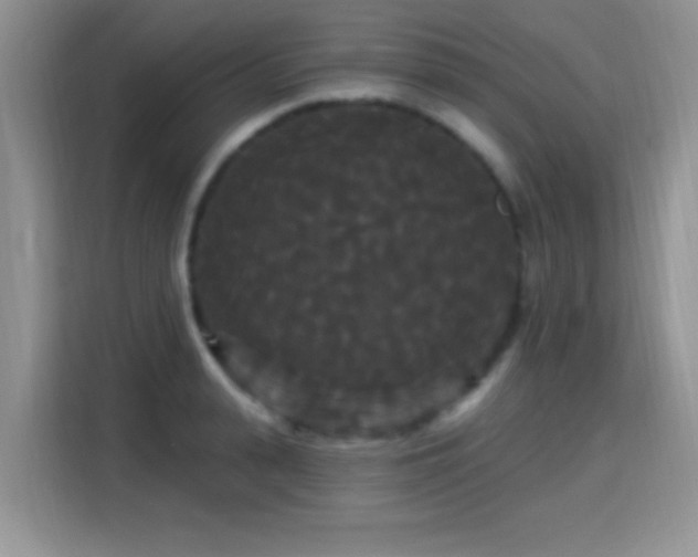 X0000115320943200911091154