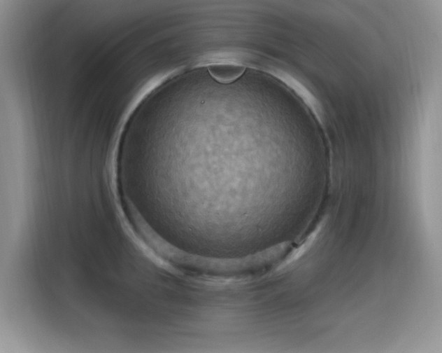 X0000115320949200911091154