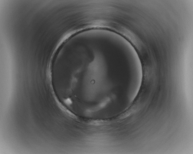 X0000115320950200911091154