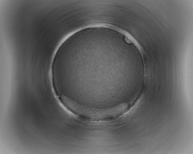 X0000115320951200911091154