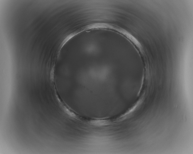 X0000115320953200911091154