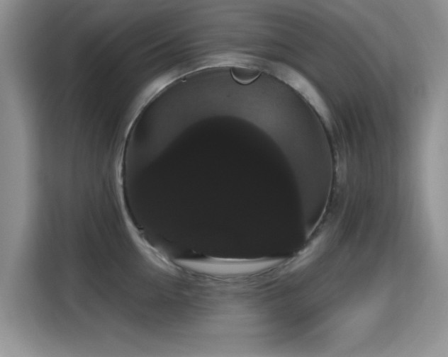 X0000115320954200911091154