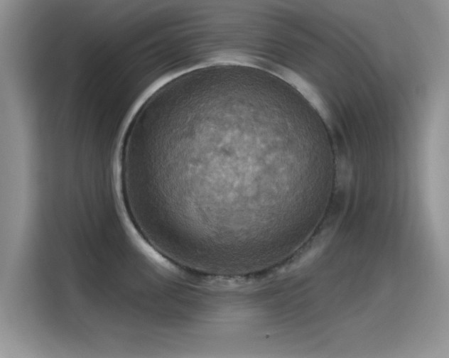 X0000115320955200911091154