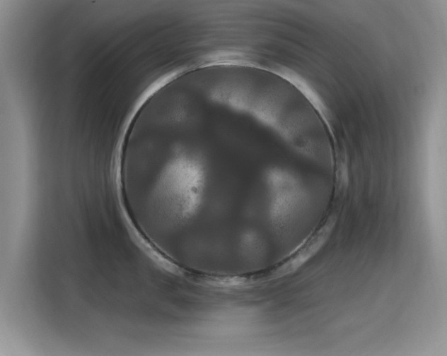 X0000115320957200911091154